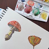 Mijn project van de cursus: Natuurelementen illustreren met aquarel. Traditional illustration, Watercolor Painting, and Naturalistic Illustration project by Lydia Van der Graaff - 03.09.2024