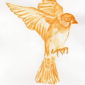 Mi proyecto del curso: Técnicas experimentales de acuarela para principiantes. Un proyecto de Ilustración tradicional, Bellas Artes, Pintura a la acuarela e Ilustración naturalista				 de Daniel Ortiz - 10.03.2024