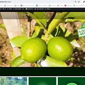 Mi proyecto del curso: WordPress: crea una web profesional desde cero Ein Projekt aus dem Bereich Webdesign, Webentwicklung, No-Code-Entwicklung und Digitales Produktdesign von Johan Fernando López López - 05.03.2024