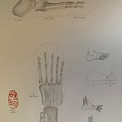 Mon projet du cours : Dessin anatomique des membres, des mains et des pieds. Een project van  Beeldende kunst,  Schetsen, Tekening met potlood,  Tekening,  Portrettekening, Realistische tekening,  Artistieke tekening, Sketchbook, Anatomisch tekenen y  Illustratie met inkt van anna_des98 - 10.03.2024