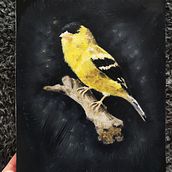 My project for course: Classical Oil Painting for Naturalist Bird Portraiture. Un proyecto de Bellas Artes, Pintura, Pintura al óleo e Ilustración naturalista				 de Denitsa Doneva - 18.01.2023