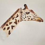 Mein Abschlussprojekt für den Kurs: Aquarell-Illustration: Realistische Wildtiere malen. Fine Arts, Painting, Watercolor Painting, and Naturalistic Illustration project by a. kai. - 03.11.2024