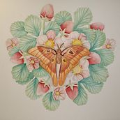 Mi proyecto del curso: Dibujo y composición naturalista en acuarela . % praga_1 tarafından hazırlanan Geleneksel illüstrasyon, Çizim, Suluboya Resim, Ve Doğalcı İllüstrasyon projesi - 03.11.2024