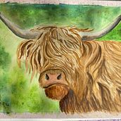Mein Abschlussprojekt für den Kurs: Ausdrucksstarke Tierporträts in Aquarell. Un projet de Illustration traditionnelle, Aquarelle, Dessin réaliste et Illustration naturaliste de b.tschuppert - 12.03.2024