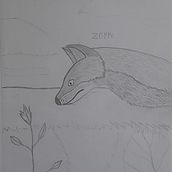 Mi proyecto del curso: Dibujo naturalista de animales con grafito. Un proyecto de Ilustración tradicional, Dibujo a lápiz, Dibujo e Ilustración naturalista				 de Alvaro rojas salinas - 11.03.2024