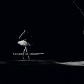 L'art de la Danse Ein Projekt aus dem Bereich Fotografie von Marie Christine MARCEL - 08.05.2021