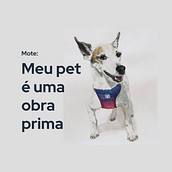 O meu pet é uma obra prima. Projekt z dziedziny  Reklama, Marketing, Cop, writing, Kreat, wność i Tworzenie treści użytkownika anadealmeyda - 10.03.2024