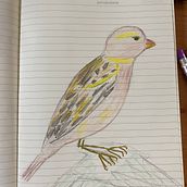 My project for course: Illustrated Life Journal: A Daily Mindful Practice. Fine Arts, Sketching, Creativit, Drawing, and Sketchbook project by TEODORA GHITA - 03.13.2024