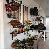Meu projeto do curso: Home styling: decore sua casa com plantas. Interactive Design, Decoration, Interior Decoration, DIY, Floral, Plant Design, and Spatial Design project by Ana Rita Gonçalves - 03.11.2024