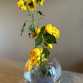 My project for course: Floral Arrangement Design with Seasonal Blooms. Interior Design, L, scape Architecture, Decoration, DIY, Floral, and Plant Design project by samone704 - 03.13.2024