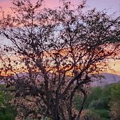 Mi proyecto del curso: Creación de presets: edita con Lightroom desde tu smartphone. Photo Retouching, Mobile Photograph, Instagram, Instagram Photograph, Color Correction, and Color Theor project by VÉRULO REYES - 03.13.2024