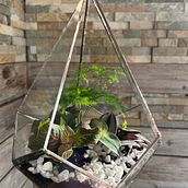 Mein Abschlussprojekt für den Kurs: Herstellung von Terrarien mit der Tiffanytechnik Ein Projekt aus dem Bereich Erweiterungsentwicklung, Innendesign, Dekoration von Innenräumen, DIY und Blumen- und Pflanzendesign von Stefanie - 15.03.2024
