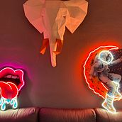 NEÓN FLEX. Projekt z dziedziny Design, Craft i Projektowanie graficzne użytkownika Andres Velez - 15.03.2024