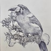 Mi proyecto del curso: Ilustración naturalista con bolígrafo. Traditional illustration, Drawing, Realistic Drawing, and Naturalistic Illustration project by joaquindiez.bcn - 03.14.2024