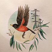 Final Project (for Botanical Watercolor Painting of the Natural World). Fine Arts, Painting, Watercolor Painting, Botanical Illustration, and Naturalistic Illustration project by jmailhot236 - 03.16.2024