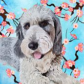 Mi proyecto del curso: Creación de caricaturas con Infinite Painter. Un proyecto de Ilustración tradicional e Ilustración digital de Cecilia Cruz - 16.03.2024