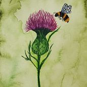 Learning to Use Watercolor. Pintura em aquarela projeto de Bonita Blanch - 16.03.2024