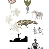 Mi proyecto del curso: Collage digital para medios editoriales. Graphic Design, Collage, Digital Illustration, and Editorial Illustration project by Violeta Castillo - 03.17.2024