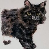 Mi proyecto del curso: Retratos expresivos de animales en acuarela. Traditional illustration, Watercolor Painting, Realistic Drawing, and Naturalistic Illustration project by Monica Perez Avila - 03.16.2024