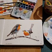 Mein Abschlussprojekt für den Kurs: Illustriere Vögel mit expressiven Aquarelltechniken. Projekt z dziedziny Trad, c, jna ilustracja, Malowanie akwarelą, R, sunek realist, czn, Ilustracja naturalist i czna użytkownika Kerstin - 18.03.2024