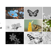 Mi proyecto del curso: Estampado textil con técnicas digitales. Un progetto di Pattern design, Fashion design e Stampa di Natalia Sequeda Castillo - 18.03.2024