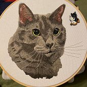 Mosi: my companion for 17 years. Een project van Borduurwerk, Naturalistische illustratie y Textielontwerp van Sara Ray - 08.03.2024