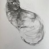 Mon projet du cours : Dessin expressif au fusain. Fine Arts, Drawing, Portrait Drawing, and Naturalistic Illustration project by mariednt - 03.20.2024