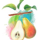 My project for course: Realistic Botanical Illustration: Escape to Nature. Painting, Watercolor Painting, Botanical Illustration, and Naturalistic Illustration project by Yuliia Druzenko - 10.19.2023