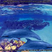 18. Montaje de fondo con delfines. Graphic Design, Design Management, Photomontage, and Set Design project by Mikel de la Herrán Elorriaga - 03.21.2024