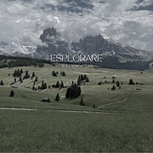 Il mio progetto del corso: Canva dalla A alla Z: crea design professionali. Br, ing, Identit, Graphic Design, Web Design, and Social Media Design project by Noemi Vallisa - 03.22.2024