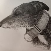 Portrait of Luna. Desenho a lápis, Desenho, Desenho de retrato, Desenho realista, Desenho artístico, Desenho anatômico, Artes plásticas, Esboçado, Criatividade, Sketchbook e Ilustração tradicional projeto de Lisa Dunne - 22.03.2024
