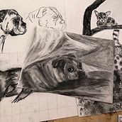 Mi proyecto del curso: Ilustración de animales con carboncillo y tinta. Un proyecto de Bellas Artes, Dibujo, Ilustración con tinta e Ilustración naturalista				 de Andrea Margarita Saracho Amieva - 22.03.2024