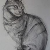My project for course: Expressive Drawing with Charcoal. Un proyecto de Bellas Artes, Dibujo, Dibujo de Retrato e Ilustración naturalista				 de Hilary White - 22.03.2024