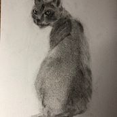 Mon projet du cours : Dessin expressif au fusain. Projekt z dziedziny  Sztuki piękne,  R, sunek, Portret, Ilustracja naturalist i czna użytkownika fabiennebegonia - 23.03.2024