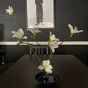 Ikebana. Un progetto di Design floreale e vegetale di Yukiji Denton - 24.03.2024