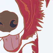 Fauna. Digital Illustration project by Linda Pilgrim - 03.24.2024