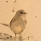 Mój projekt z kursu: Techniki artystycznego malowania ptaków akwarelami. Un progetto di Illustrazione tradizionale, Pittura ad acquerello, Disegno realistico e Illustrazione naturalistica di Beata Dulian - 24.03.2024