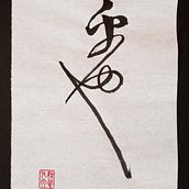 Fragmento de Zhao Ji, Mil caracteres clásicos, 30x20cm. Calligraph project by Cesar Juan Jorda - 03.24.2024