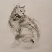 My project for course: Expressive Drawing with Charcoal. Fine Arts, Drawing, Portrait Drawing, and Naturalistic Illustration project by Ragna Marie Qvam - 03.25.2024