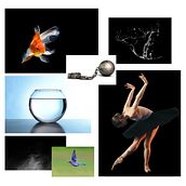 Mi proyecto del curso: Collage digital en Photoshop: composición y efectos visuales. Fotografia, Colagem, Retoque fotográfico, Fotografia artística, Composição fotográfica, e Fotomontagem projeto de Fernandha Reséndiz - 25.03.2024