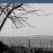 Mi proyecto del curso: Escritura de una novela paso a paso. Un projet de Écriture, Créativité, Stor, telling, Narration, Écriture de fiction , et Écriture créative de Brenda East Goenaga - 25.03.2024