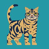 Cat. Vector Illustration project by Sandra Grinberg - 03.26.2024