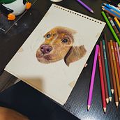 Mi proyecto del curso: Retratos de Mascotas en Lápices de Colores. Traditional illustration, and Naturalistic Illustration project by Monica Vazquez - 03.25.2024