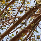 My project for course: Introduction to Digital Photography Ein Projekt aus dem Bereich Fotografie und Digitalfotografie von avinashilpa - 26.03.2024