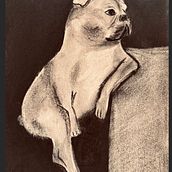 Mon projet du cours : Illustration d'animaux au fusain et à l'encre. Een project van  Beeldende kunst,  Tekening,  Illustratie met inkt y Naturalistische illustratie van effa - 26.03.2024