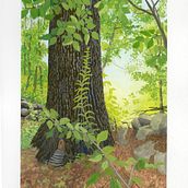 My project for course: Landscape Painting with Gouache for Beginners. Fine Arts, Painting, Naturalistic Illustration, and Gouache Painting project by Sr. Mary Joseph Peterson - 03.26.2024