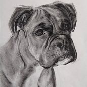 My project for course: Animal Illustration with Charcoal and Ink. Fine Arts, Drawing, Ink Illustration, and Naturalistic Illustration project by Lisa Branney - 03.27.2024