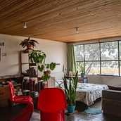 Mi proyecto del curso: Diseño de espacios verdes para tu casa. Un progetto di Paesaggismo, Design floreale e vegetale e Progettazione dello spazio di Germán Fuentes - 26.03.2024