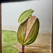 ‌Illustration of Natural Elements in Watercolor. Watercolor Painting project by elizcampos_silva - 03.28.2024