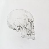 My project for course: Intro to Anatomy Drawing with Graphite Pencil. Projekt z dziedziny  Sztuki piękne, R, sunek ołówkiem,  R, sunek, R, sunek realist, czn, R i sunek anatomiczn użytkownika moneill27 - 18.03.2024